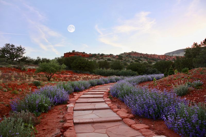 A curved pathway in the center,  lined with stones on both sides and lavender flowers line beside the stones and trees surround it further and a hill while the moon shows above a sky with few clouds