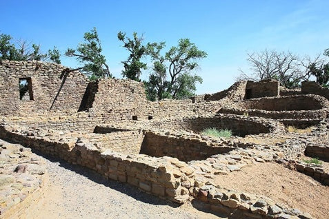 Dowsing Chaco Canyon and Aztec Ruins