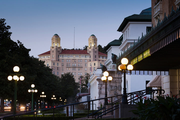 A city scape with lined post lamps and trees. Further is a big castle like structure