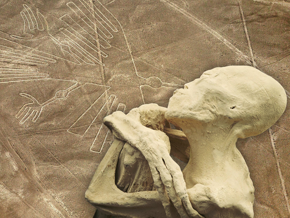 In the background is a geoglyph of a bird in a vast dessert while in the foreground is a mummy with its arms crossed over its chest