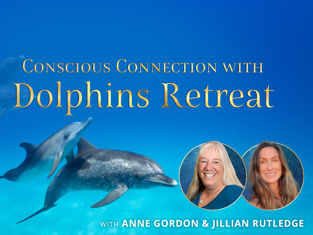 Conscious Connection with Dolphins Retreat - June 2026