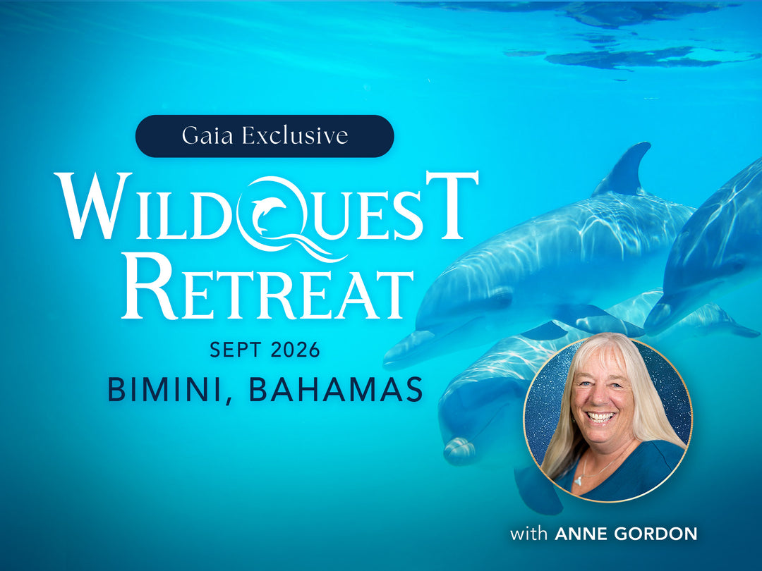 Gaia Exclusive: WildQuest Retreat | Sep 2026