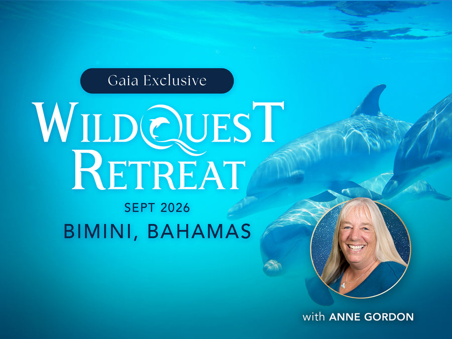 Gaia Exclusive: WildQuest Retreat | Sep 2026