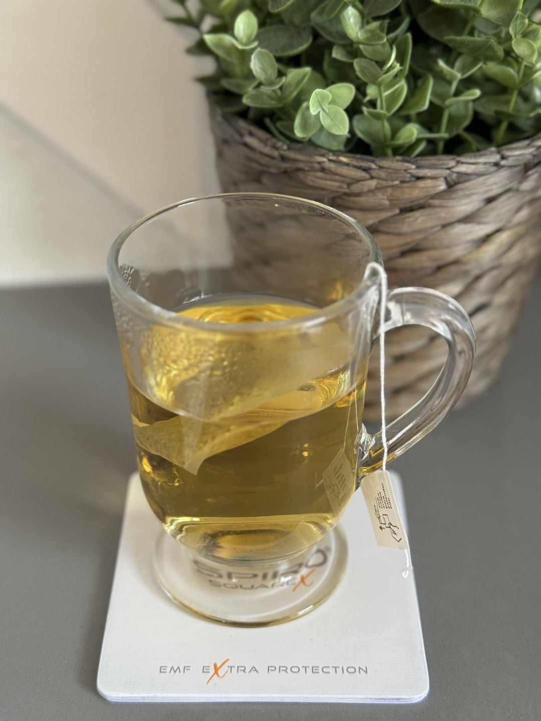 A close up of a cup of tea on top of a square white card with a text Spiro square x EMF extra protection. With a small plant in a pot in the background