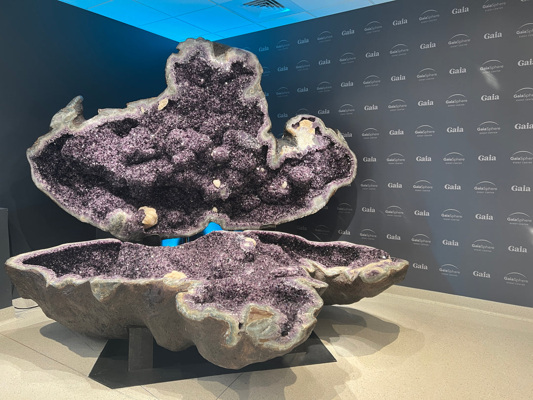 Giant clam-like amethyst