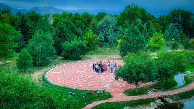 People standing in the center of a labyrinth, outlined with stones, surrounded with a lot of trees