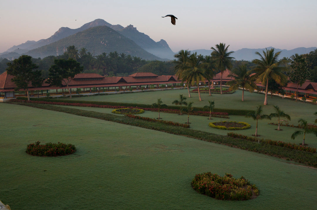 A great open garden surrounded with well manicured lawn, filled with grasses and a few palms and trees, enclosed by an open housing structure. Beyond it are trees and a green mountain on the further back. A lone bird passes through the lawn.