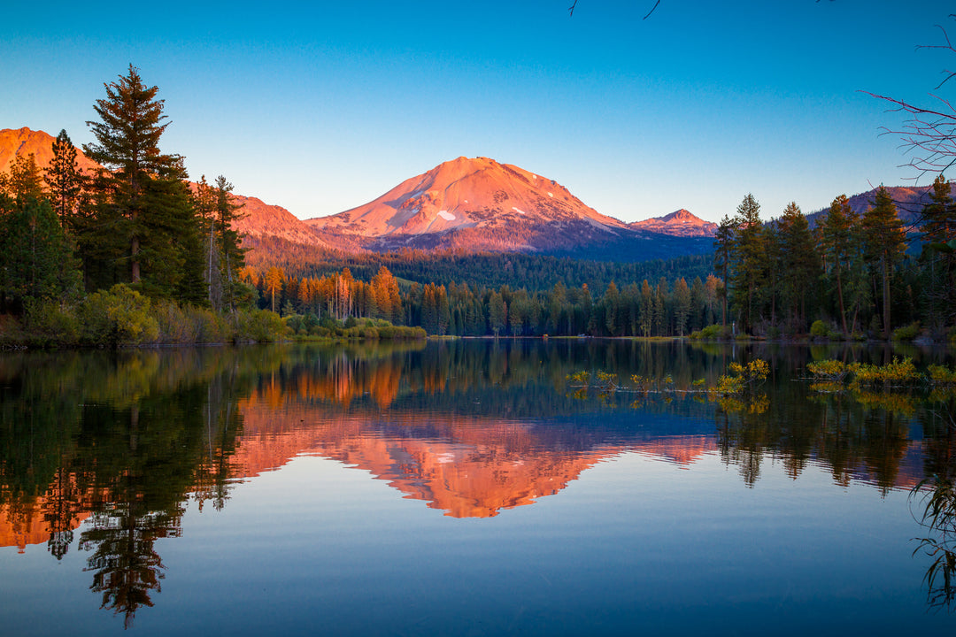 A body of water surround with tall trees and an almost bare mountain on a clear blue sky