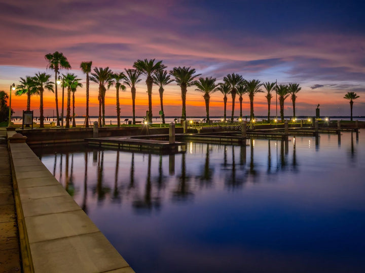 A body of water with docks in between. A line of palms stretched in the center that looks like a pathway or road. Further is the golden beam of the sun over a cloudy sky.