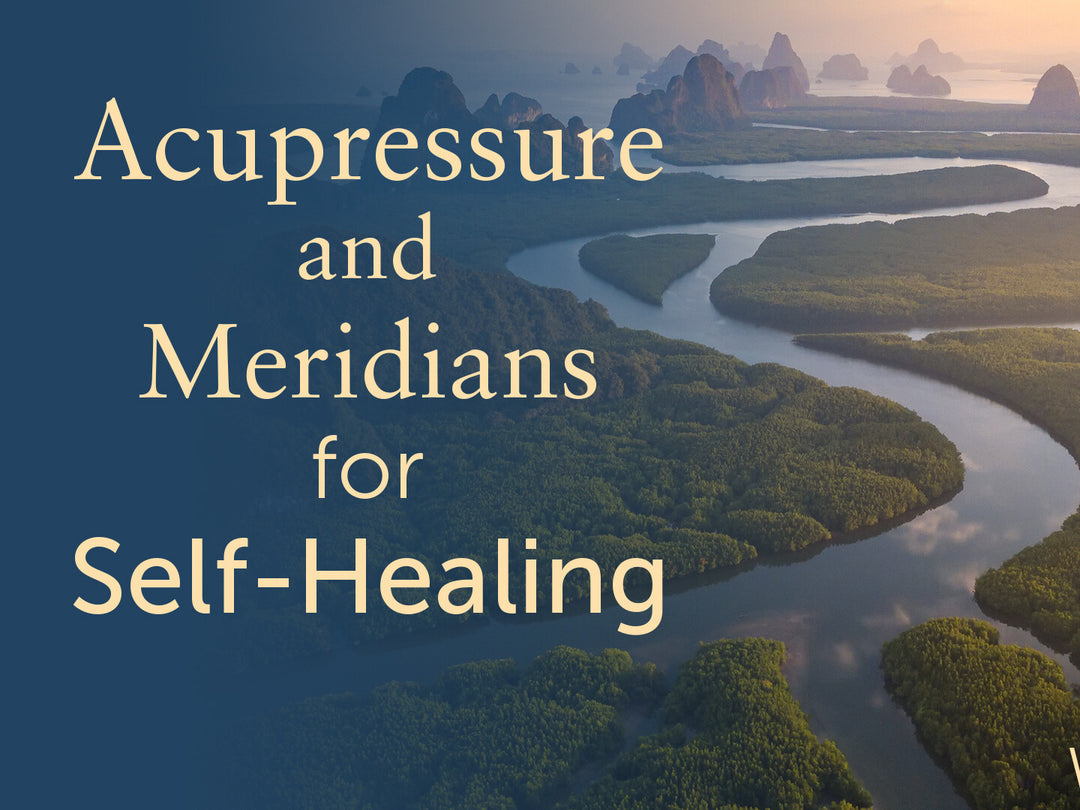 Lee Holden - Acupressure & Meridians for Self-Healing Workshop