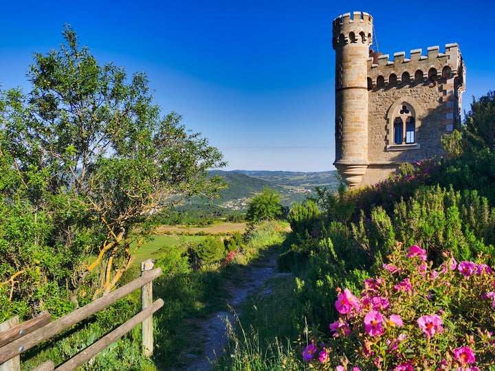 A small pathway surrounded by grasses, flowers, and bushes, leading to a small castle-like tower with a background of mountains