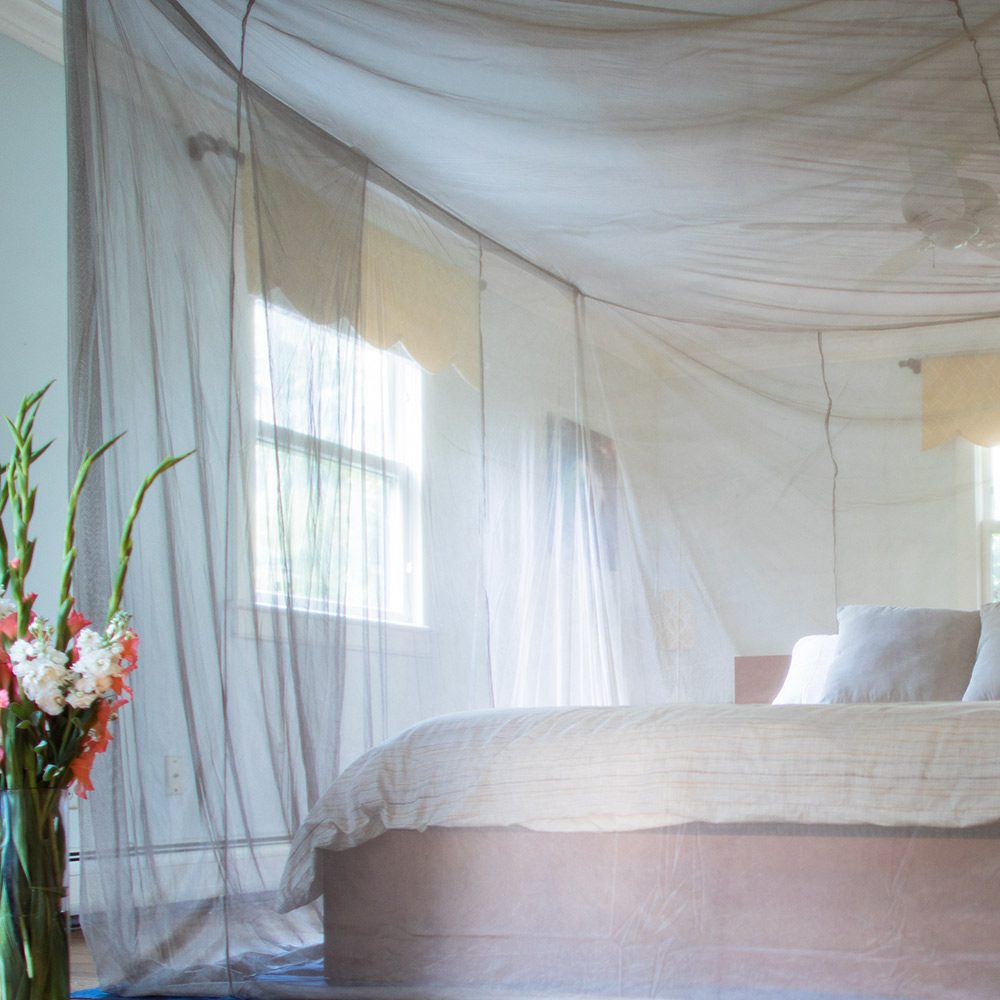 A bed is covered with a canopy of fabric with a window that shines bright on the side. A flower on a vase is on the foreground.