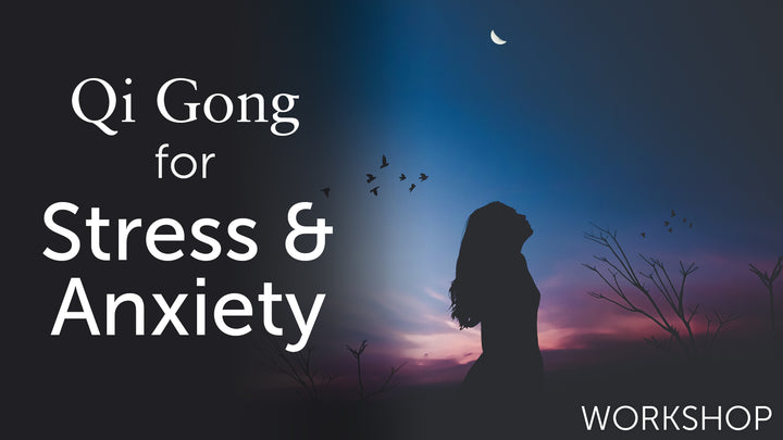Lee Holden - Qi Gong for Stress & Anxiety Workshop
