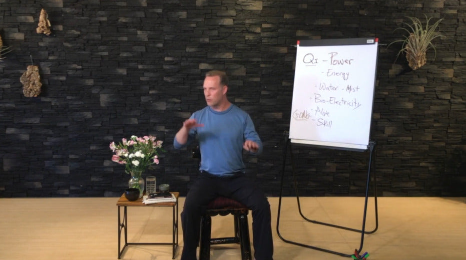Lee Holden - Qi Gong for Stress & Anxiety Workshop